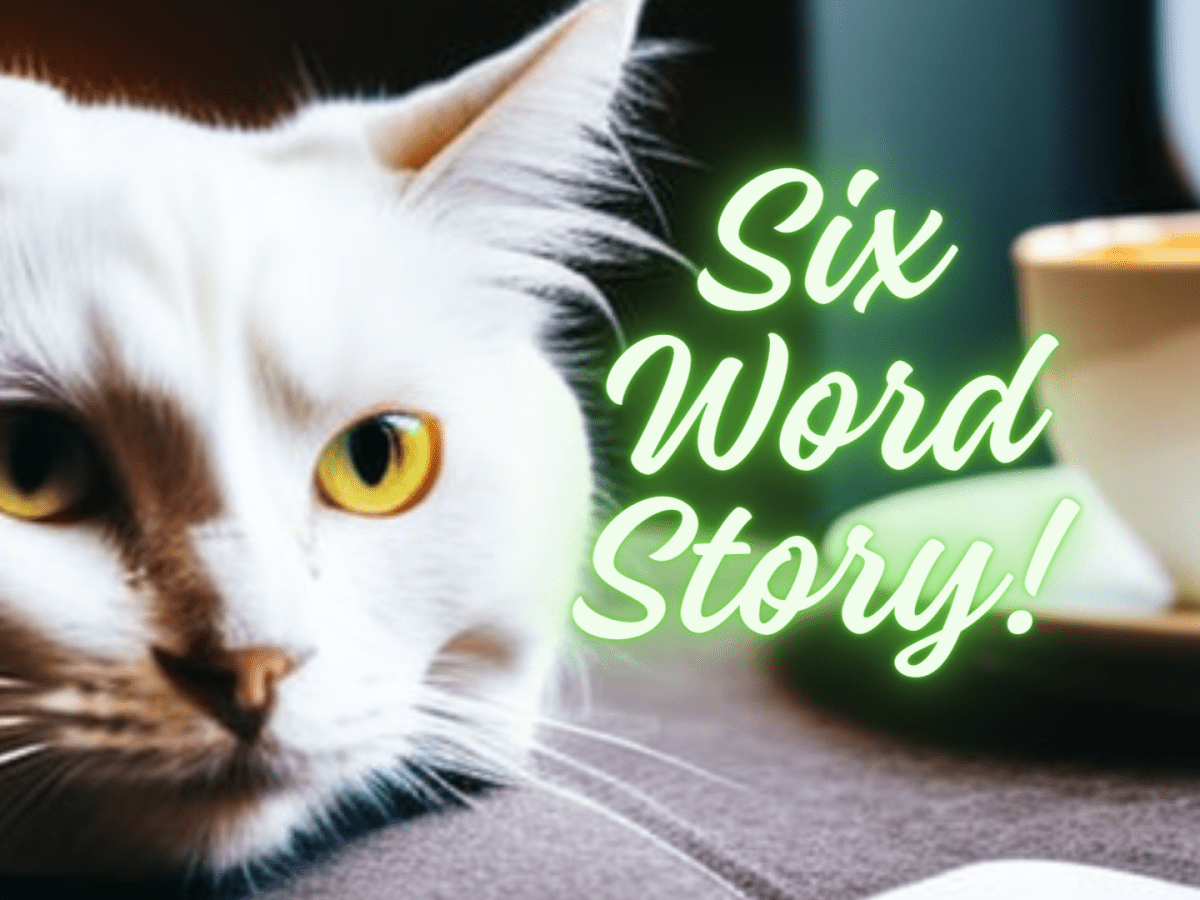 Six Word Story – 06132024